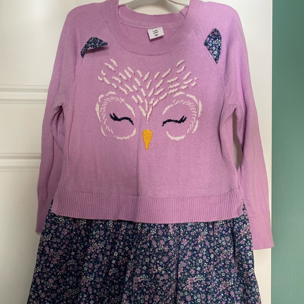 Toddler girl long sleeve dress
